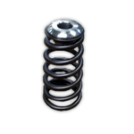 Manton 24v Valve Springs and Retainer