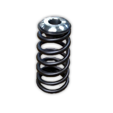 Manton 24v Valve Springs and Retainer